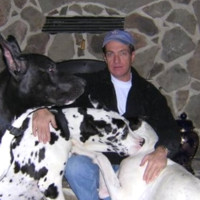 John Fields Email & Phone Number