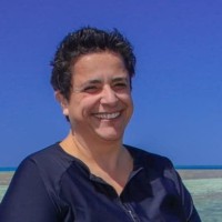 Niki Habibis Email