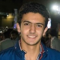 Adham Elshafei Email