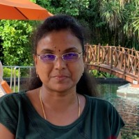 Verticurl (A WPP Company) Employee Vaish Raj's profile photo