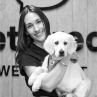 PetDirect.co.nz Employee Taylor Jones's profile photo