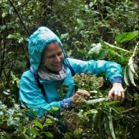 Conservatoire Botanique National & CPIE de Mascarin (CBN-CPIE Mascarin) Employee Camille Danger's profile photo
