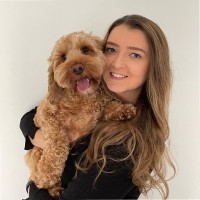 Marketing Delivery Employee Gee Moor's profile photo