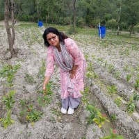 Indcare Trust Employee Reeva Sood's profile photo