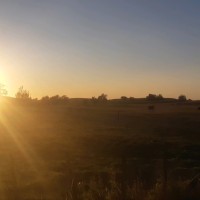 Eurofins-ELS Employee Sarah Stiles's profile photo