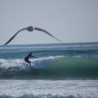 The Parts House Employee David Honig's profile photo