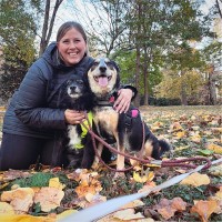 Ashley Hahn Email & Phone Number