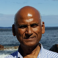 Genapsys Employee Narendra Bansal's profile photo
