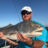 Mark Moser Email & Phone Number