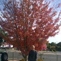 LJ Partners Pty Ltd Employee Lee Chan's profile photo