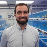 Tropical Marine Centre Ltd Employee João Chambel's profile photo