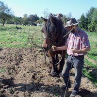 MPK Employee Michel Godfrind's profile photo