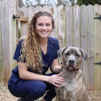Belton Veterinary Clinic Employee Mallory Mitchell's profile photo