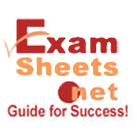 ExamSheetsDotNet Employee Exam Sheets's profile photo