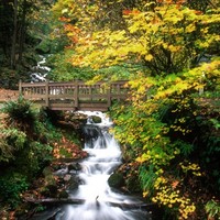 Makgotamishe Building Construction Employee Mashigo Boitumelo's profile photo