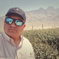 Francisco Dalleto Email