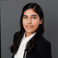 Vermax Group Inc. Employee Raman Preet's profile photo