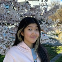 iTotem Employee Yan Song's profile photo