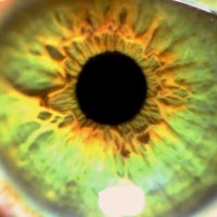 Van der Hoeven Kliniek Employee Jwan Zangana's profile photo