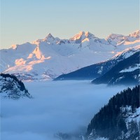 GLOBUS LIMITED Employee Bryan Lawrie's profile photo