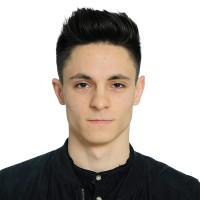 Andrei Moise Email