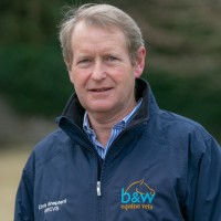 B&W Equine Group - The Willesley Equine Clinic Employee Chris Mrcvs's profile photo