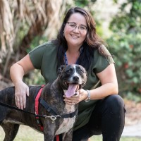 Zoe Jacovou Email & Phone Number