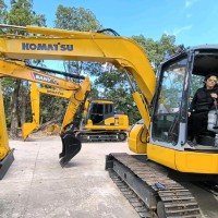 Tongji University Employee Francesca Valsecchi's profile photo