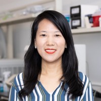 Li Sun Email & Phone Number