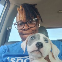 My Independence at Home Employee Chynell Cox's profile photo