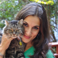 Maya Gupta Email & Phone Number