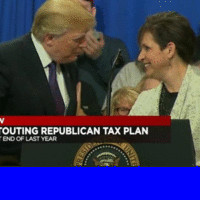 Sheffer Corporation Employee Deana Spoleti's profile photo
