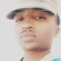 Budweiser Distributing Co Employee Devin Wilkins's profile photo