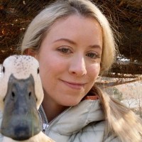Julie Moore Email & Phone Number