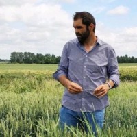 Groupe Carré - Négociant en grains Employee David Boucher's profile photo