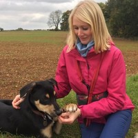 Joyful Dogs Employee Joy Knowles's profile photo