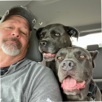 Steve Sisk Email & Phone Number