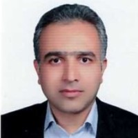 Kharazmi University Employee Meysam Rafei's profile photo