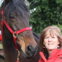 Lisa Johnson Employee Peggy Kernan's profile photo