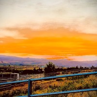 Presto Employee Tina Jack's profile photo