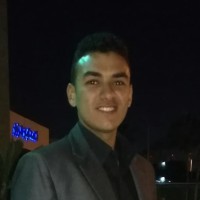 Mohamed Amer Email