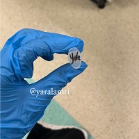 UNICODE Employee Yara Alamri's profile photo