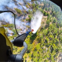 Northwest Helicopters Employee Noel Larson's profile photo