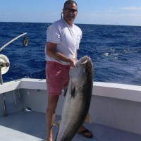 SMC Consulting LLC Employee Mark Barbera's profile photo