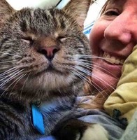 ROBERT DENOOYER CHEVROLET, INC Employee Marty Hoewe's profile photo