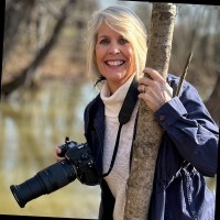 Made in the Shade Employee Jan Beach's profile photo