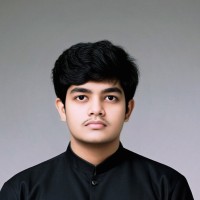 JavaScript Developer Employee Anees Haider's profile photo