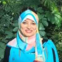 RWS Group Employee Noha Sayed's profile photo