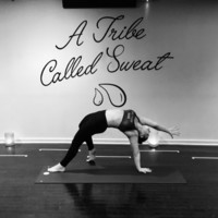 Y7 Studio Employee Molly Drago's profile photo