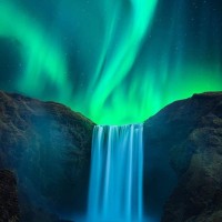 Diedre Webb Email & Phone Number